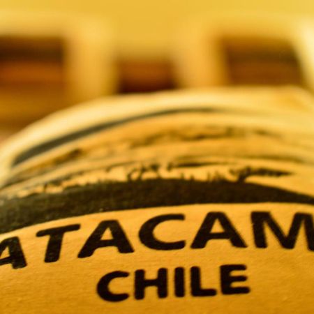 Chill-Atacama Bed and Breakfast San Pedro de Atacama Exterior foto